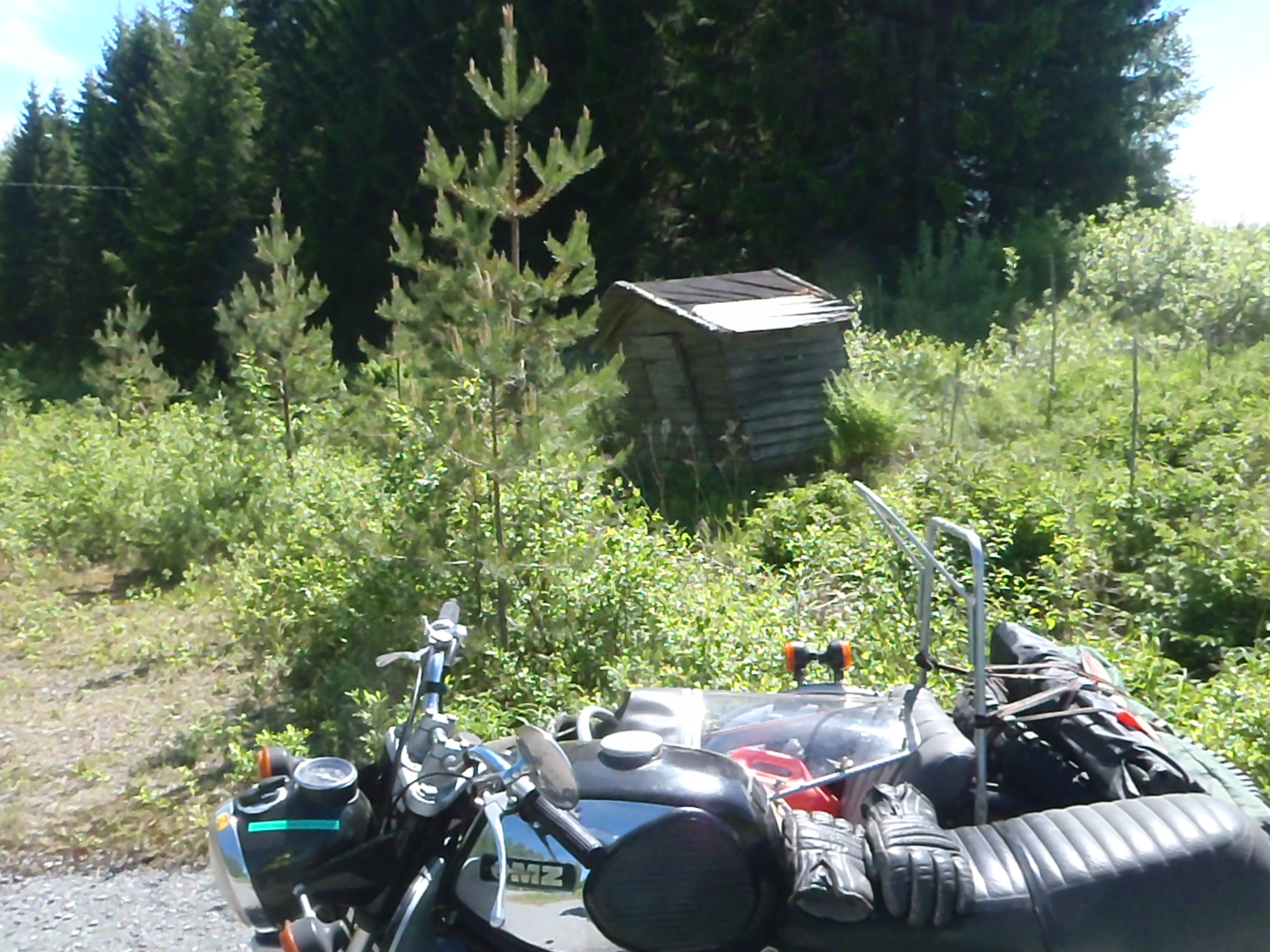 MZ 2017 Nyyssänniemi 046.JPG