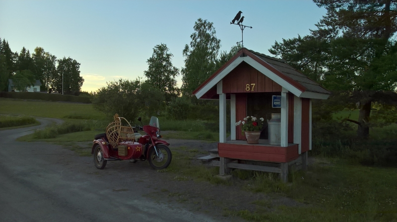 pyökäri.jpg