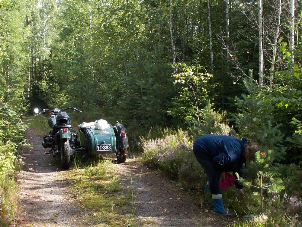 RSCN0183.JPG