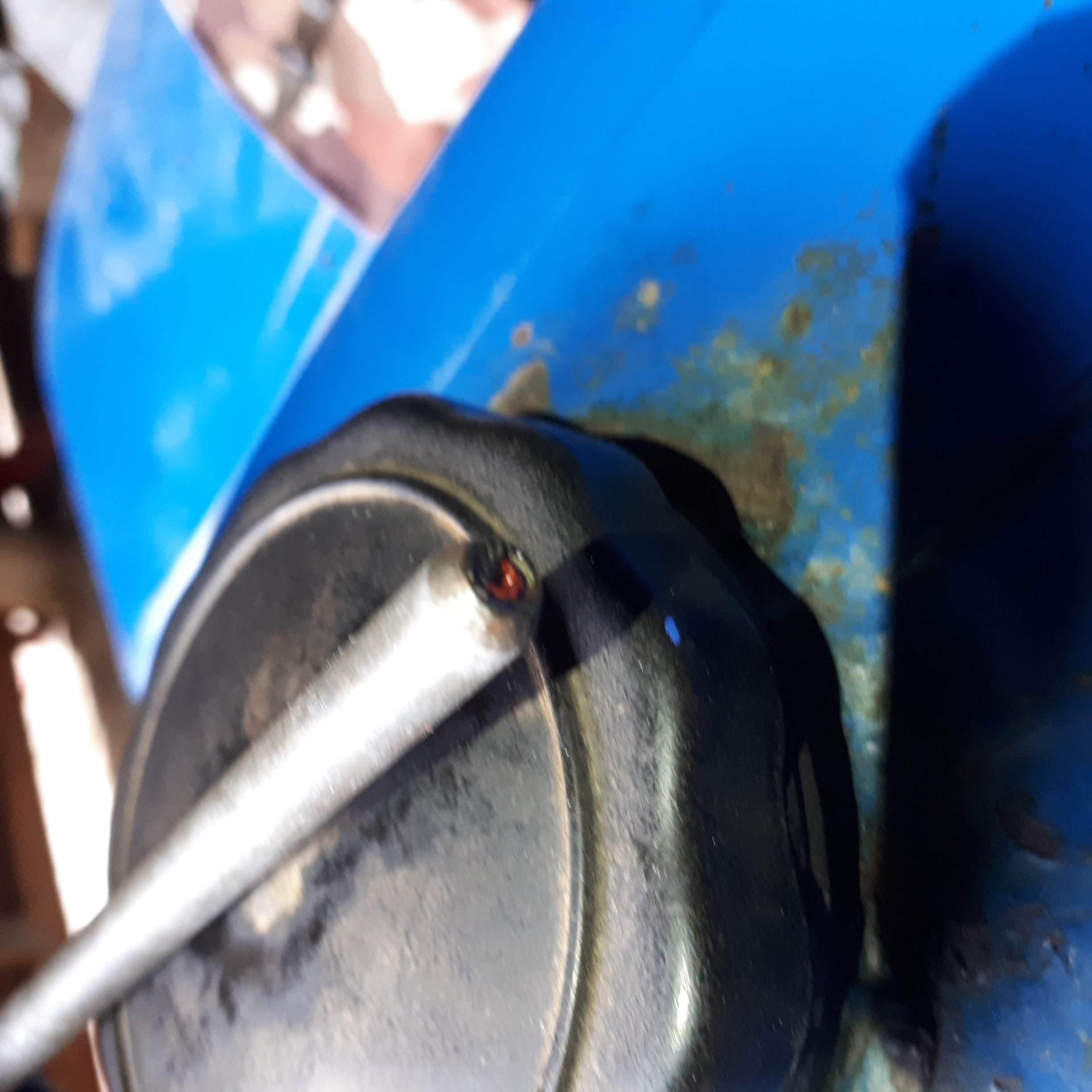 20180624_192148.jpg