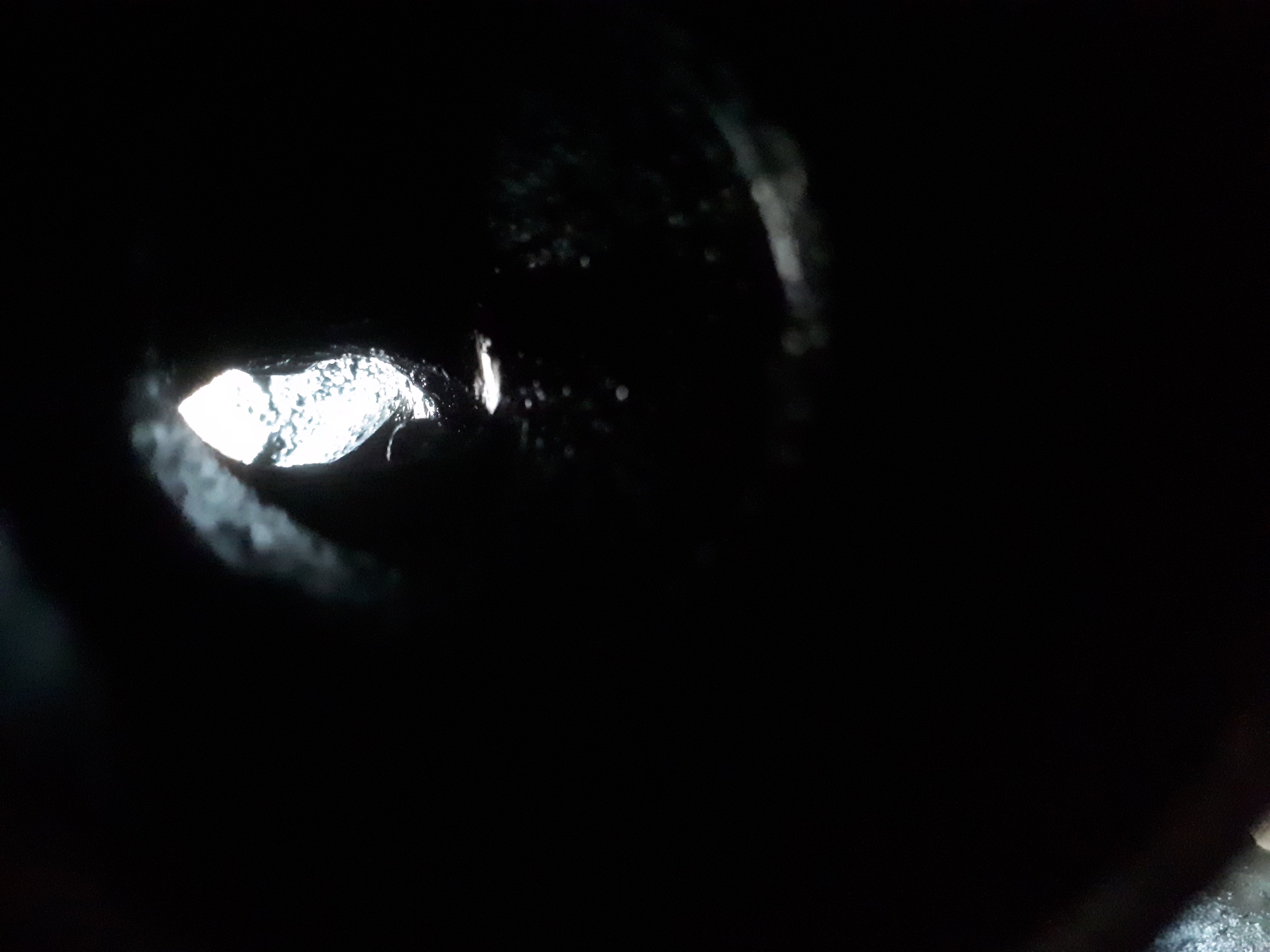 20180827_175954.jpg