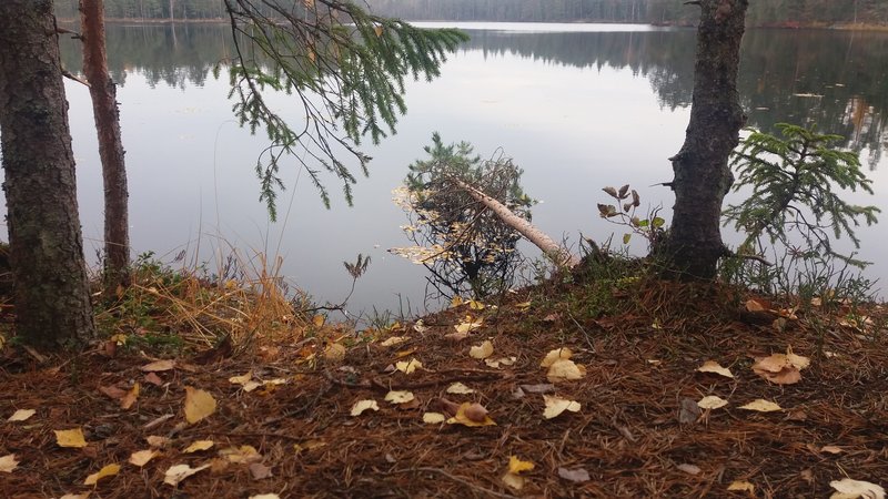 20181013_145923.jpg