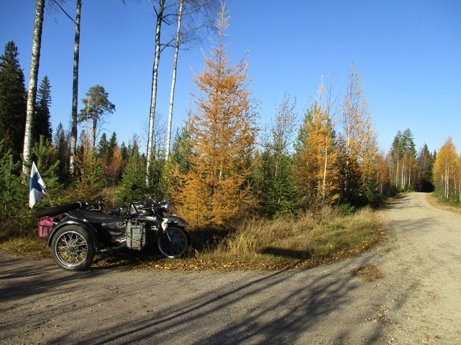 metsätie.jpg