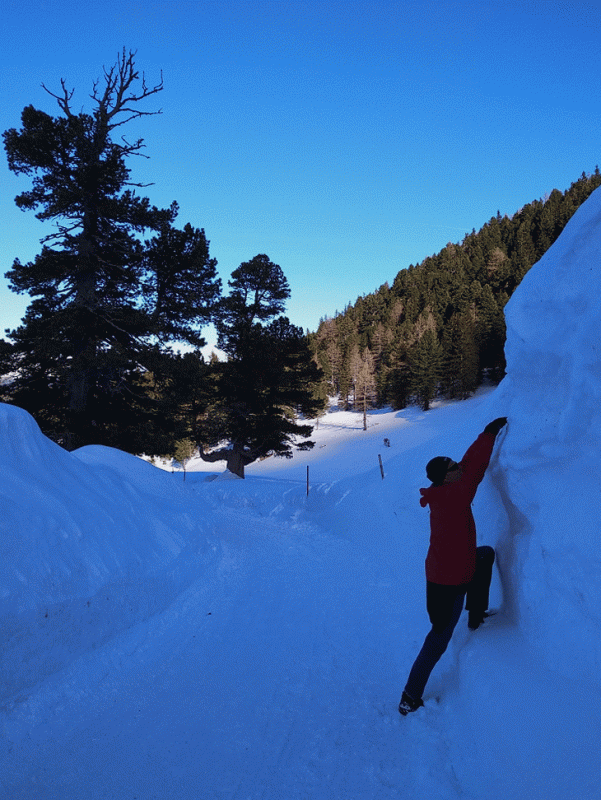 IMG_20190209_144248-ANIMATION.GIF