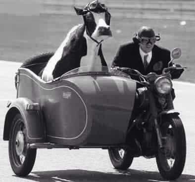 Siinä matkaseuraa...