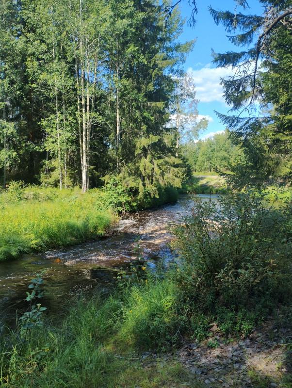 IMG_20240725_133244674_HDR.jpg