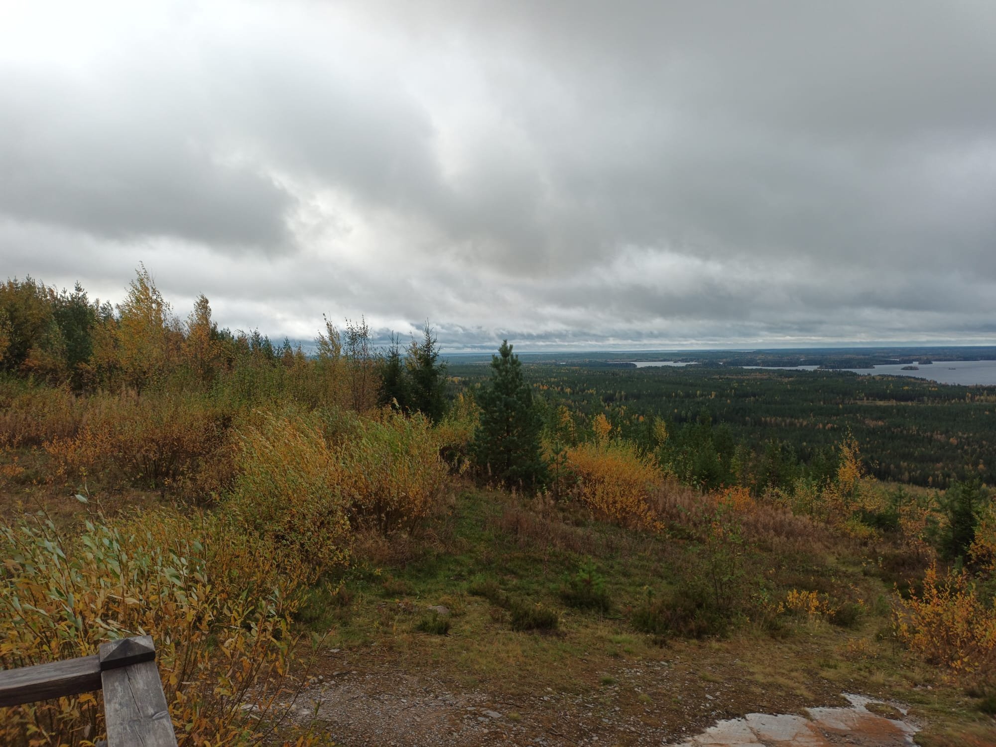 IMG-20240928-WA0015.jpg