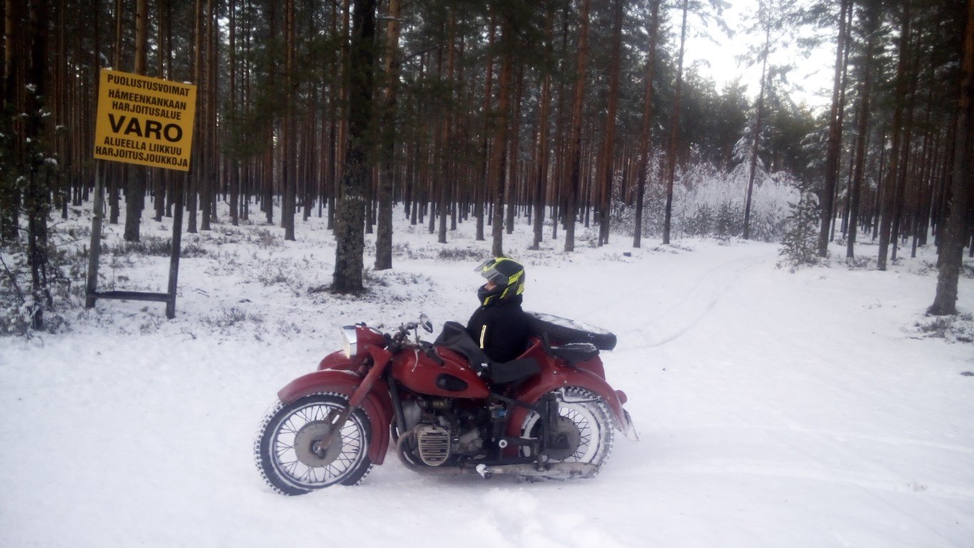 Ei näkynyt, hyvin maastoutuivat.jpg