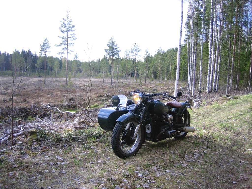 korvessa1.JPG