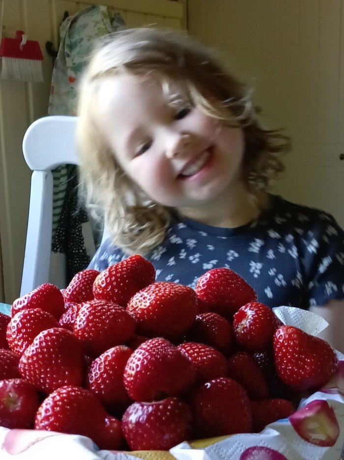 mansikkatyttö.jpg