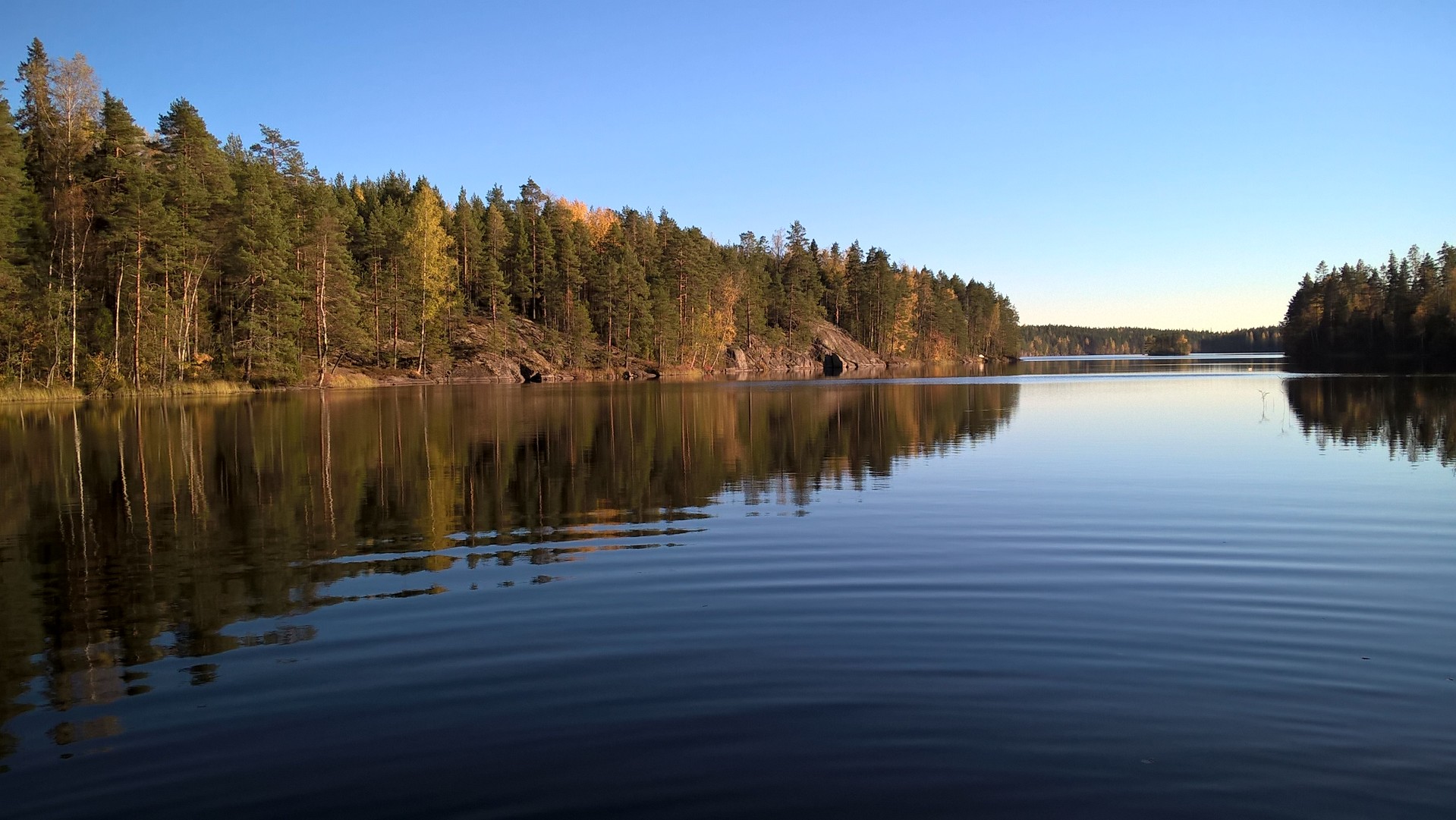 Maisema